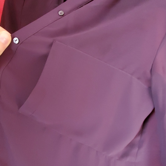 Sheer Button Down Shirt - Picture 3 of 3